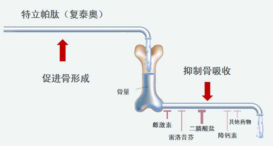 1595052597887600.jpg 20151023843407639285.jpg