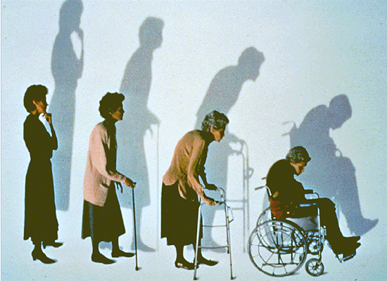 1595324319931725.png 20151023724575000781.png