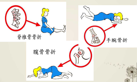 1595324427686323.jpg 20151023729552072375.jpg